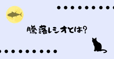 騰落レシオって何？どうやって使うのか